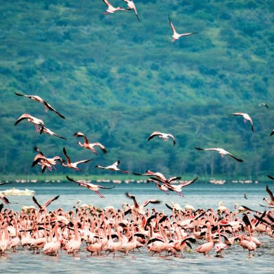 Lake Manyara Nationalpark