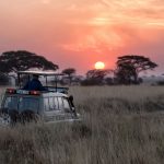 hu-chen-0LwfbRtQ-ac-unsplash hu-chen-0LwfbRtQ-ac-unsplash