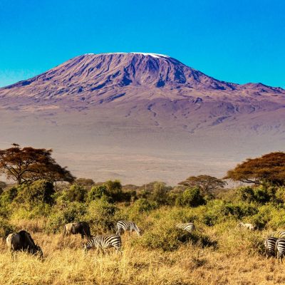 Kilimandscharo Nationalpark