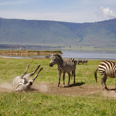 Ngorongoro Nationalpark
